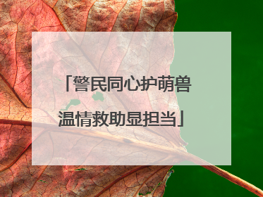 警民同心护萌兽 温情救助显担当