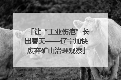 让“工业伤疤”长出春天——辽宁加快废弃矿山治理观察