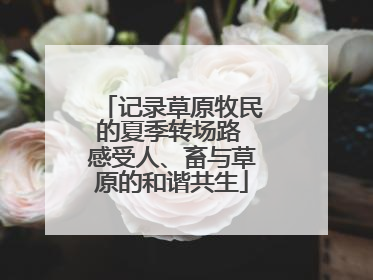 记录草原牧民的夏季转场路 感受人、畜与草原的和谐共生