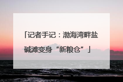 记者手记：渤海湾畔盐碱滩变身“新粮仓”