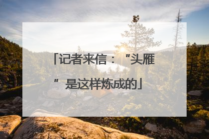 记者来信：“头雁”是这样炼成的