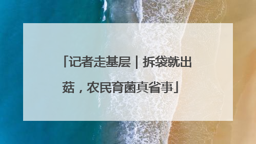 记者走基层｜拆袋就出菇，农民育菌真省事