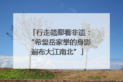 行走赣鄱看非遗：“希望岳家拳的身影遍布大江南北”