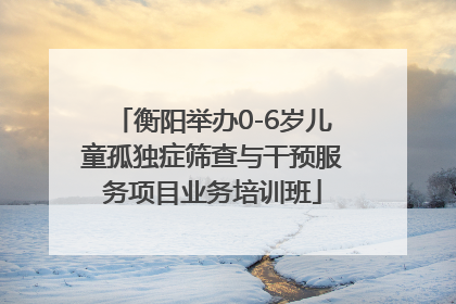 衡阳举办0-6岁儿童孤独症筛查与干预服务项目业务培训班