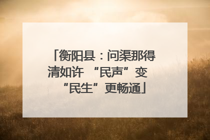 衡阳县：问渠那得清如许 “民声”变“民生”更畅通