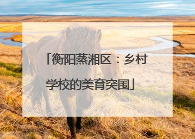 衡阳蒸湘区：乡村学校的美育突围