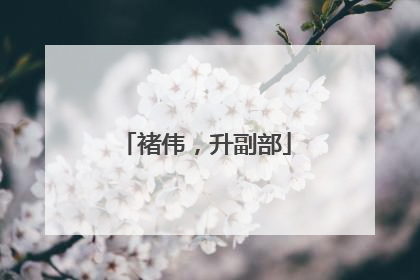 褚伟，升副部