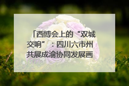 西博会上的“双城交响”：四川六市州共展成渝协同发展画卷｜西博视界
