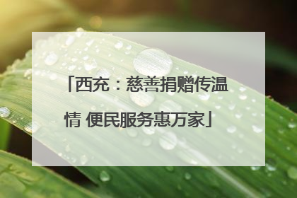 西充：慈善捐赠传温情 便民服务惠万家
