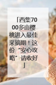 西集7000多亩樱桃进入最佳采摘期！这份“安心攻略”请收好