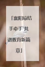 襄阳琼结手牵手 共谱教育新篇章