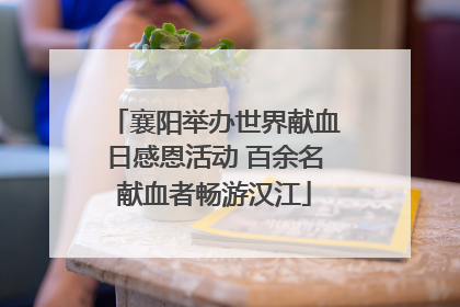 襄阳举办世界献血日感恩活动 百余名献血者畅游汉江