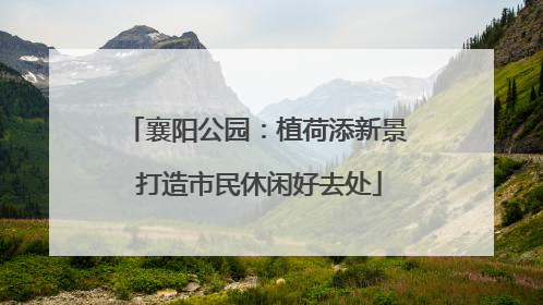 襄阳公园：植荷添新景 打造市民休闲好去处