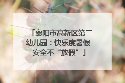 襄阳市高新区第二幼儿园：快乐度暑假 安全不“放假”