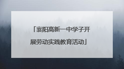 襄阳高新一中学子开展劳动实践教育活动
