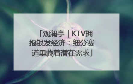 观澜亭｜KTV拥抱银发经济：细分赛道里藏着潜在需求