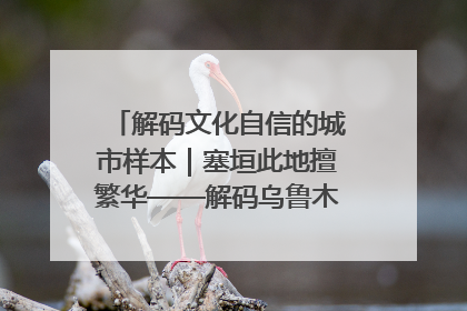 解码文化自信的城市样本｜塞垣此地擅繁华——解码乌鲁木齐的文化自信样本