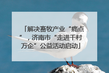 解决畜牧产业“痛点”，济南市“走进千村万企”公益活动启动