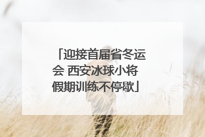迎接首届省冬运会 西安冰球小将假期训练不停歇
