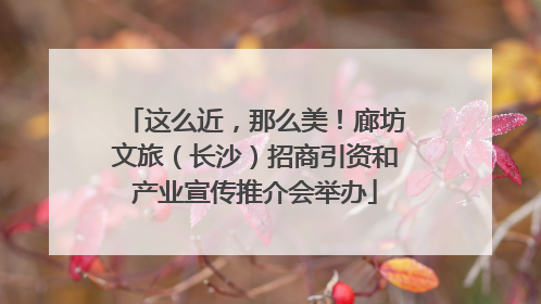 这么近，那么美！廊坊文旅（长沙）招商引资和产业宣传推介会举办