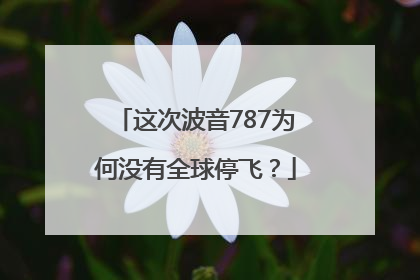 这次波音787为何没有全球停飞？