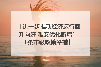 进一步推动经济运行回升向好 雅安优化新增11条市级政策举措