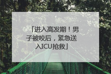 进入高发期！男子被咬后，紧急送入ICU抢救