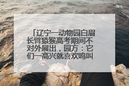辽宁一动物园白眉长臂猿猴高考期间不对外展出，园方：它们一高兴就喜欢鸣叫，怕影响考试