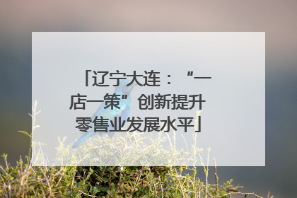 辽宁大连：“一店一策”创新提升零售业发展水平