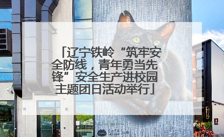 辽宁铁岭“筑牢安全防线，青年勇当先锋”安全生产进校园主题团日活动举行