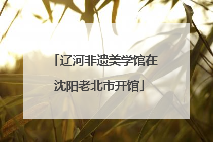 辽河非遗美学馆在沈阳老北市开馆