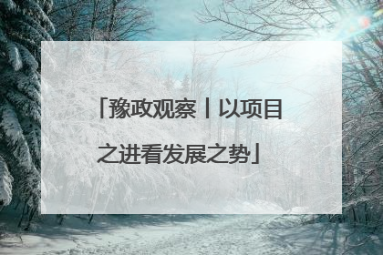 豫政观察丨以项目之进看发展之势