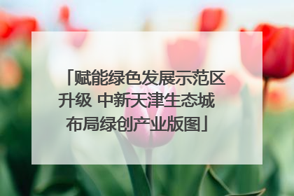 赋能绿色发展示范区升级 中新天津生态城布局绿创产业版图