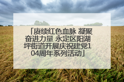 赓续红色血脉 凝聚奋进力量 永定区阳湖坪街道开展庆祝建党104周年系列活动
