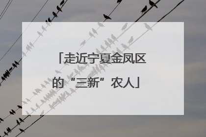 走近宁夏金凤区的“三新”农人