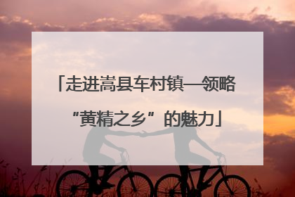 走进嵩县车村镇—领略“黄精之乡”的魅力