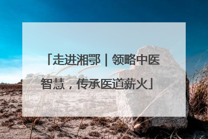 走进湘鄂｜领略中医智慧，传承医道薪火