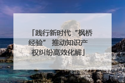 践行新时代“枫桥经验” 推动知识产权纠纷高效化解