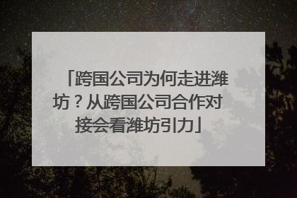跨国公司为何走进潍坊？从跨国公司合作对接会看潍坊引力
