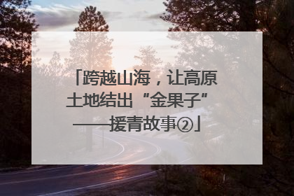 跨越山海，让高原土地结出“金果子”——援青故事②