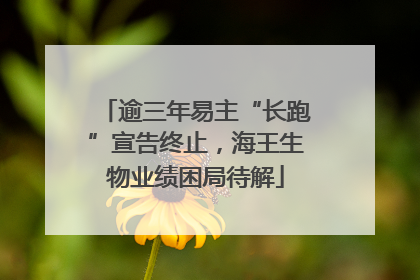 逾三年易主“长跑”宣告终止，海王生物业绩困局待解