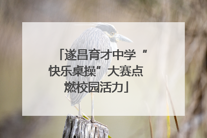 遂昌育才中学“快乐桌操”大赛点燃校园活力