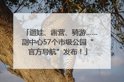 遛娃、露营、骑游……副中心57个市级公园“官方导航”发布！