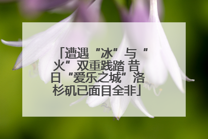 遭遇“冰”与“火”双重践踏 昔日“爱乐之城”洛杉矶已面目全非