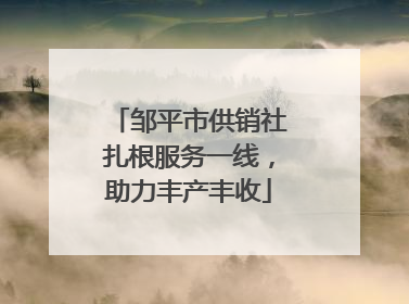 邹平市供销社扎根服务一线，助力丰产丰收