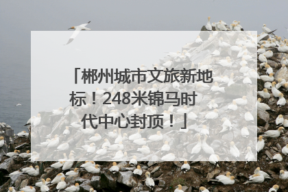 郴州城市文旅新地标！248米锦马时代中心封顶！