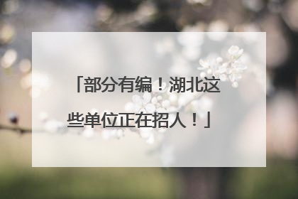 部分有编！湖北这些单位正在招人！