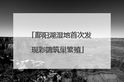 鄱阳湖湿地首次发现彩鹮筑巢繁殖
