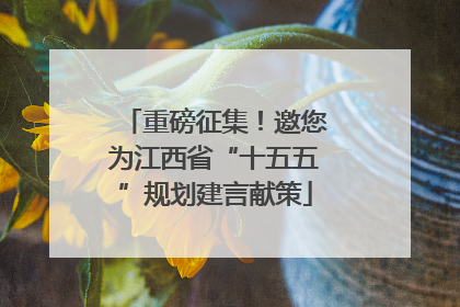 重磅征集！邀您为江西省“十五五”规划建言献策