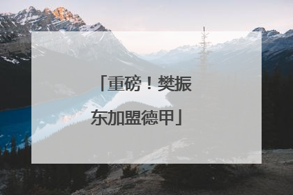 重磅！樊振东加盟德甲